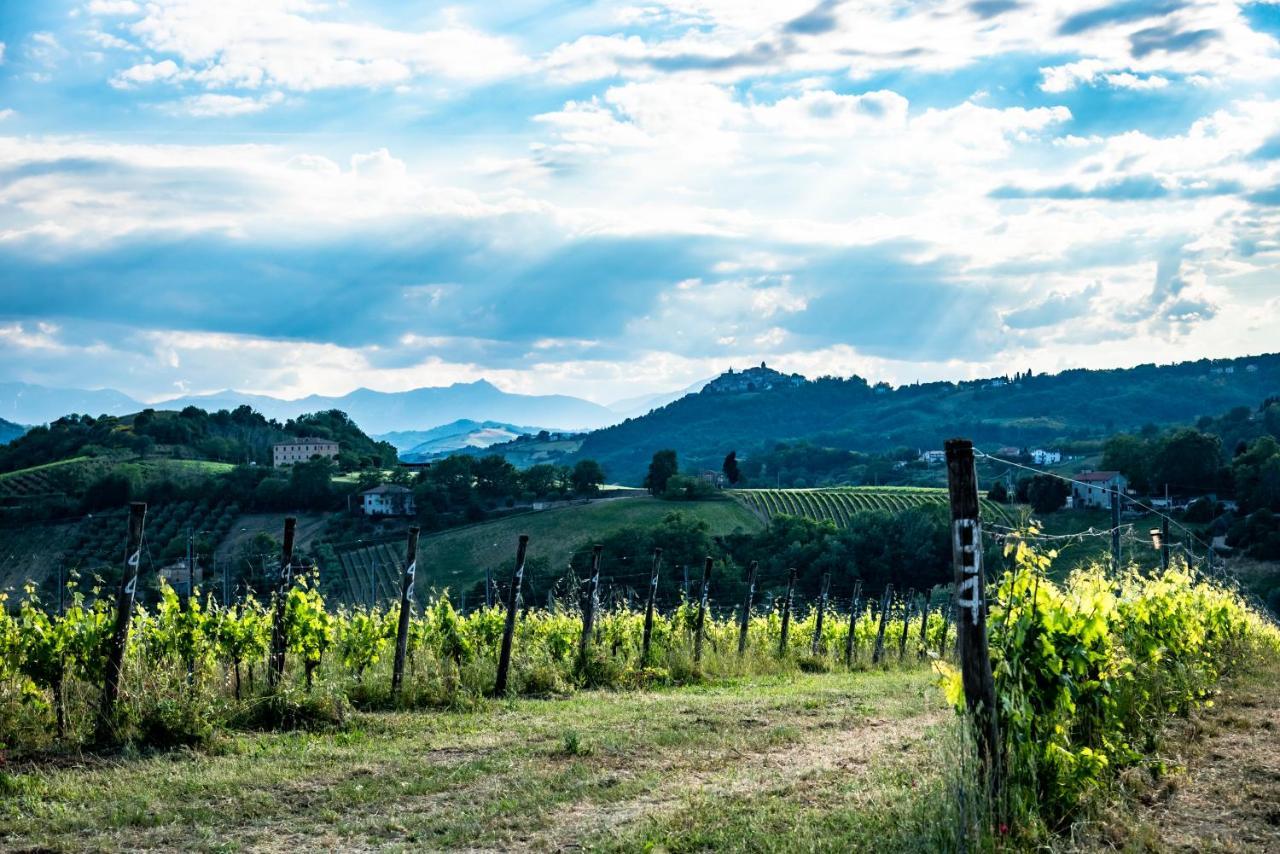 Recchi Franceschini Bike Hotel LAST - MINUTE - AVAILABILITY Montalto delle Marche Exterior foto