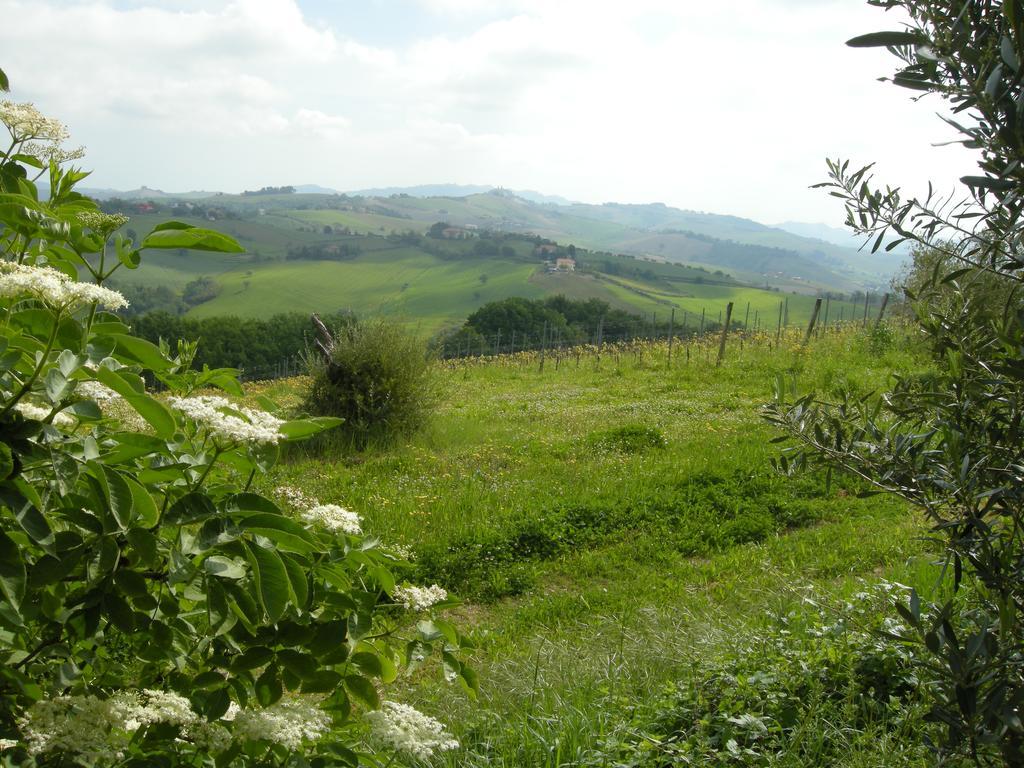 Recchi Franceschini Bike Hotel LAST - MINUTE - AVAILABILITY Montalto delle Marche Exterior foto